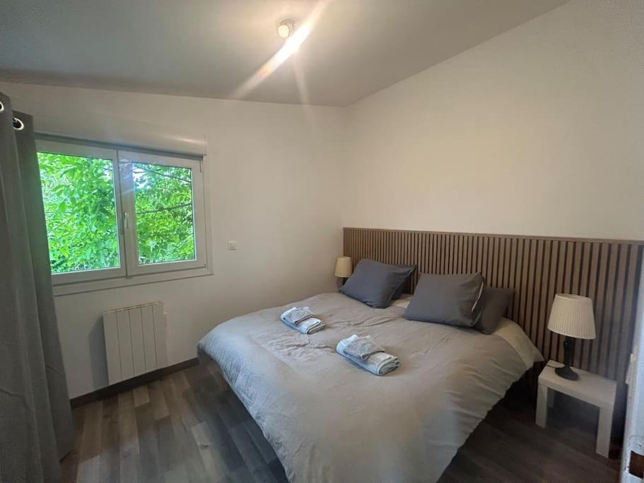 Apartment Maison Proche Du Groupama Stadium